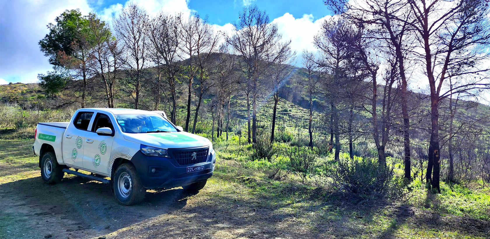 10.000 arbres plantés Peugeot Landtrek pour un environnement meilleur